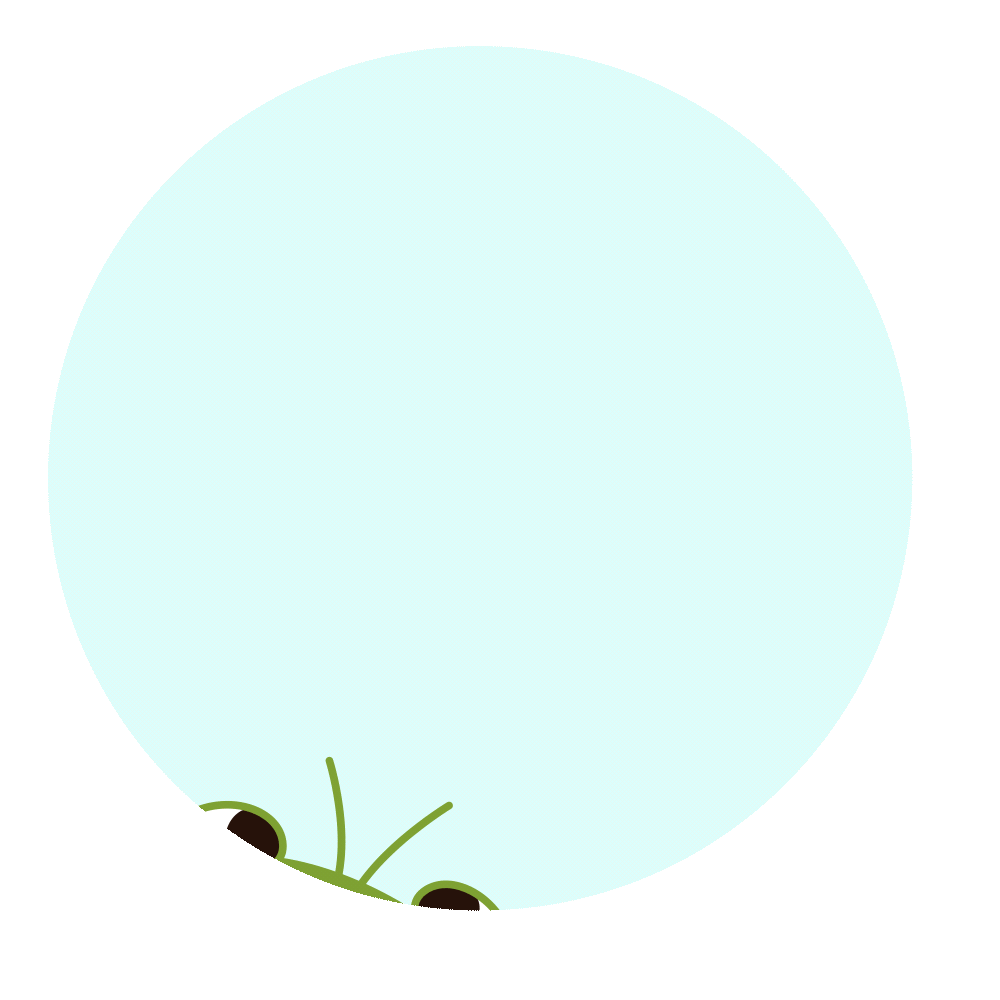 政務(wù)知了